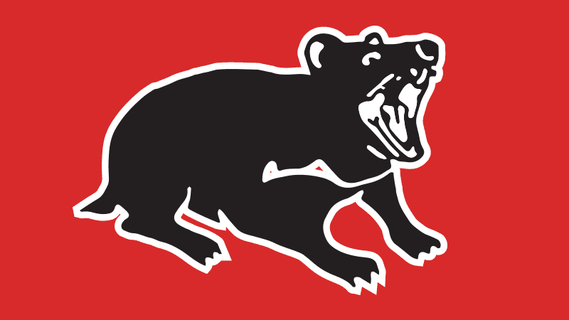 Delany Devils