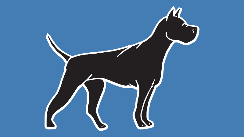 Histon Hounds
