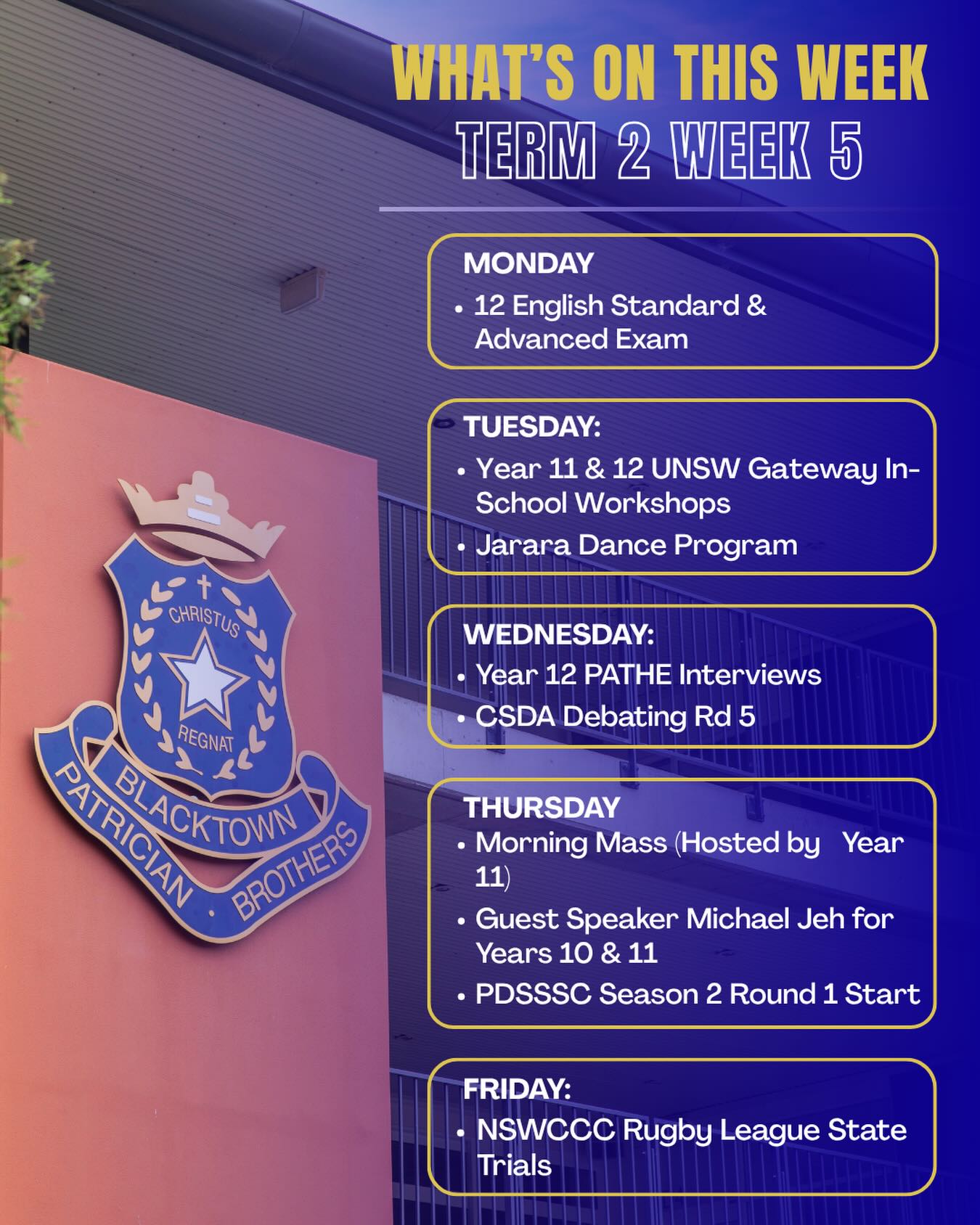 17867016495682137-1